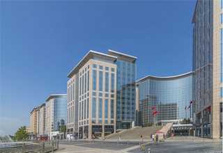 网站建设收费东营网站建设